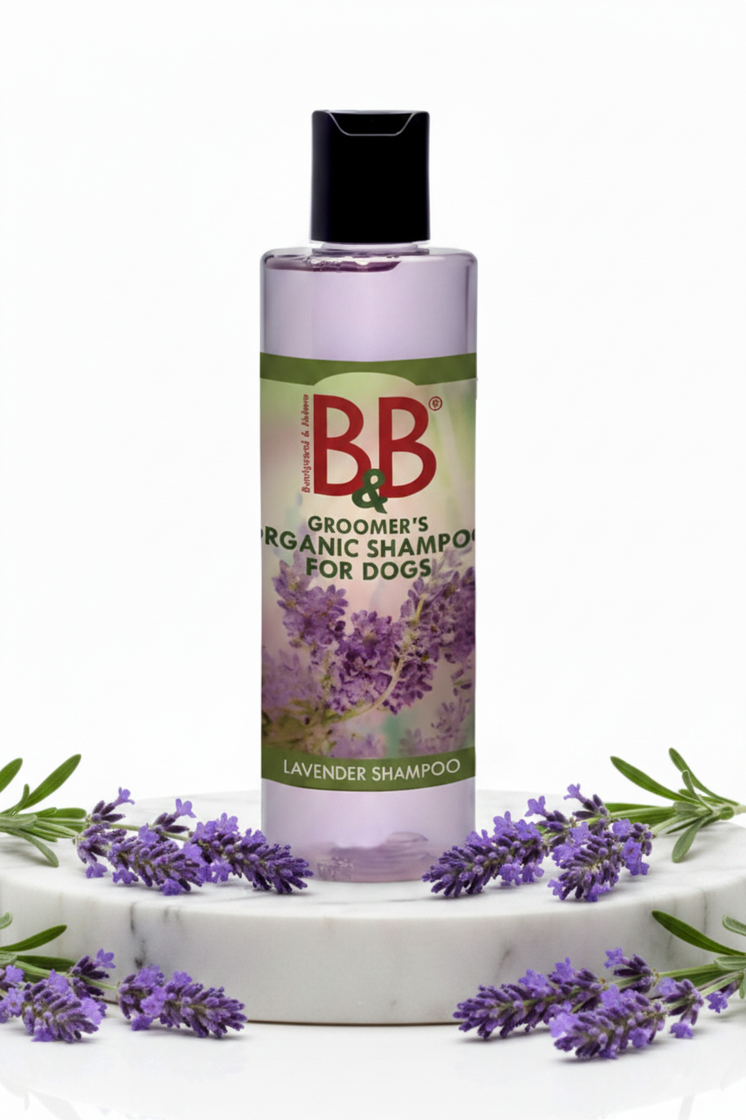 B&B Organic Lavender Shampoo for Dogs 100 mL bottle with fresh lavender