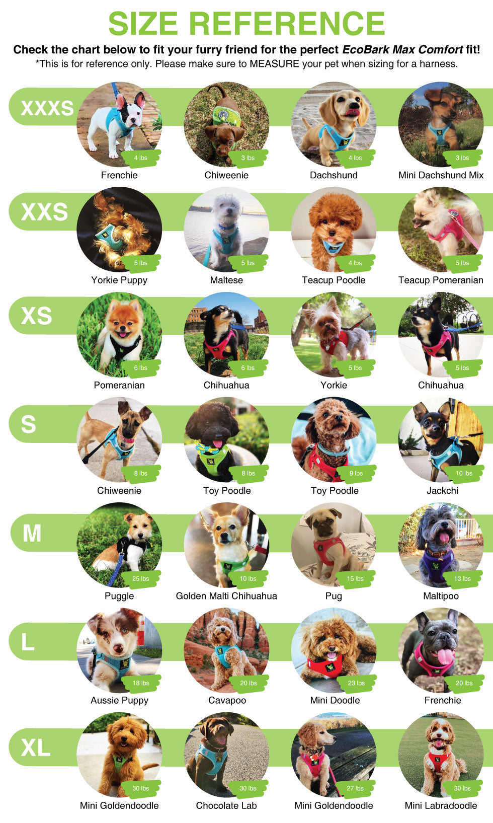 EcoBark step-in dog harness size guide for teacup, toy, and small breed dogs