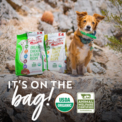 Organic Chicken & Liver Recipe Dry Dog Food bags displayed outdoors with a happy dog and USDA Organic certification.