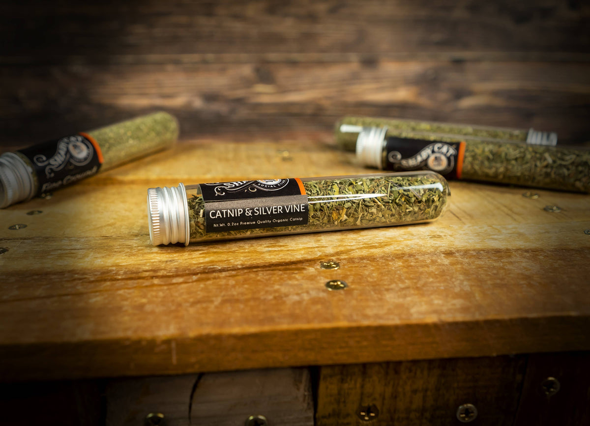 Close-up of Shady Cat organic catnip and silver vine blend tube on a wooden surface