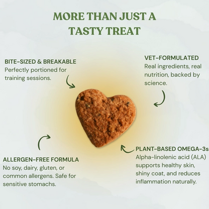 Heart-shaped organic dog treat highlighting wholesome ingredients.