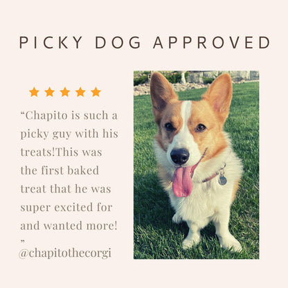 Customer testimonial featuring a dog enjoying Botanical Bones treats