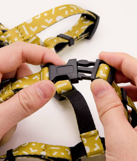 Memphis Mustard Design Recycled PET Harness | Juno | Size S