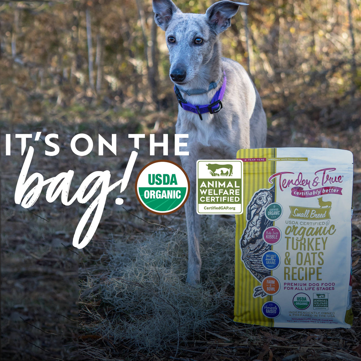 USDA Organic certified Tender & True dog food packaging certifications