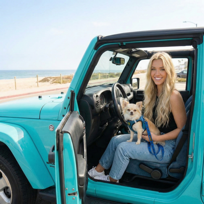 Small dog wearing EcoBark bright blue step-in harness riding in an open vehicle