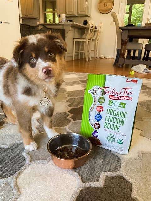 Tender & True Organic Small Breed Chicken & Liver Recipe from an independently owned U.S. company