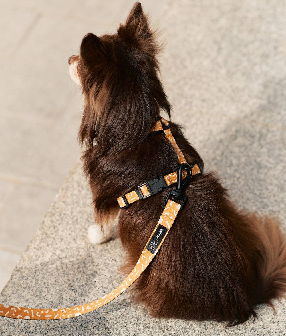 Memphis Mustard Design Recycled PET Harness | Juno | Size S