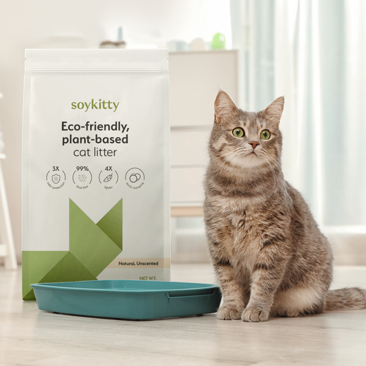 Cat using a litter box filled with SoyKitty cat litter