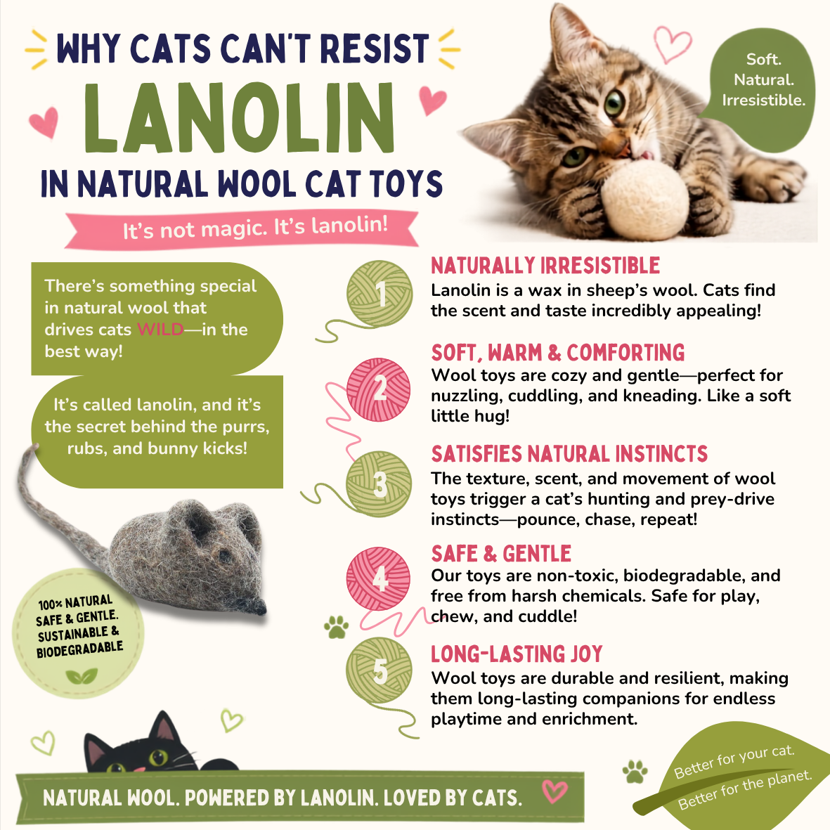 Information graphic explaining why cats are attracted to lanolin in natural wool cat toys