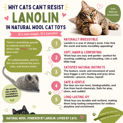 Information graphic explaining why cats are attracted to lanolin in natural wool cat toys