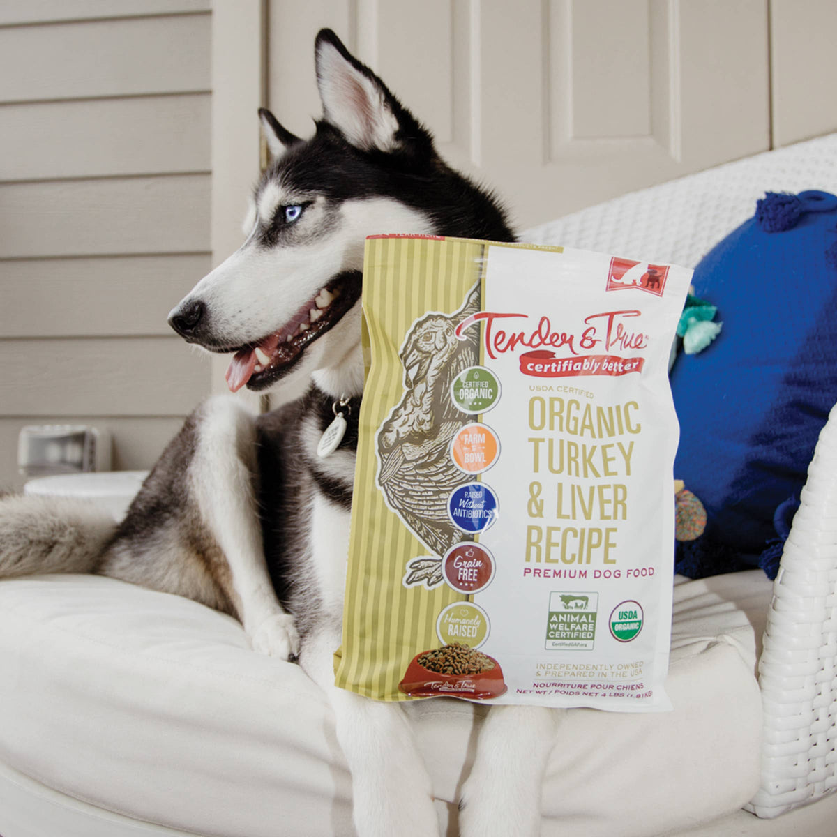 Husky resting on a white dog bed beside a bag of Tender & True Organic Turkey & Liver Recipe dry dog food