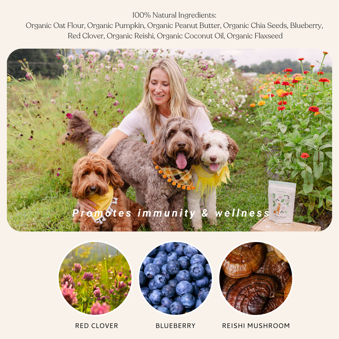 Botanical Bones Flower Power dog treats with organic berry ingredients