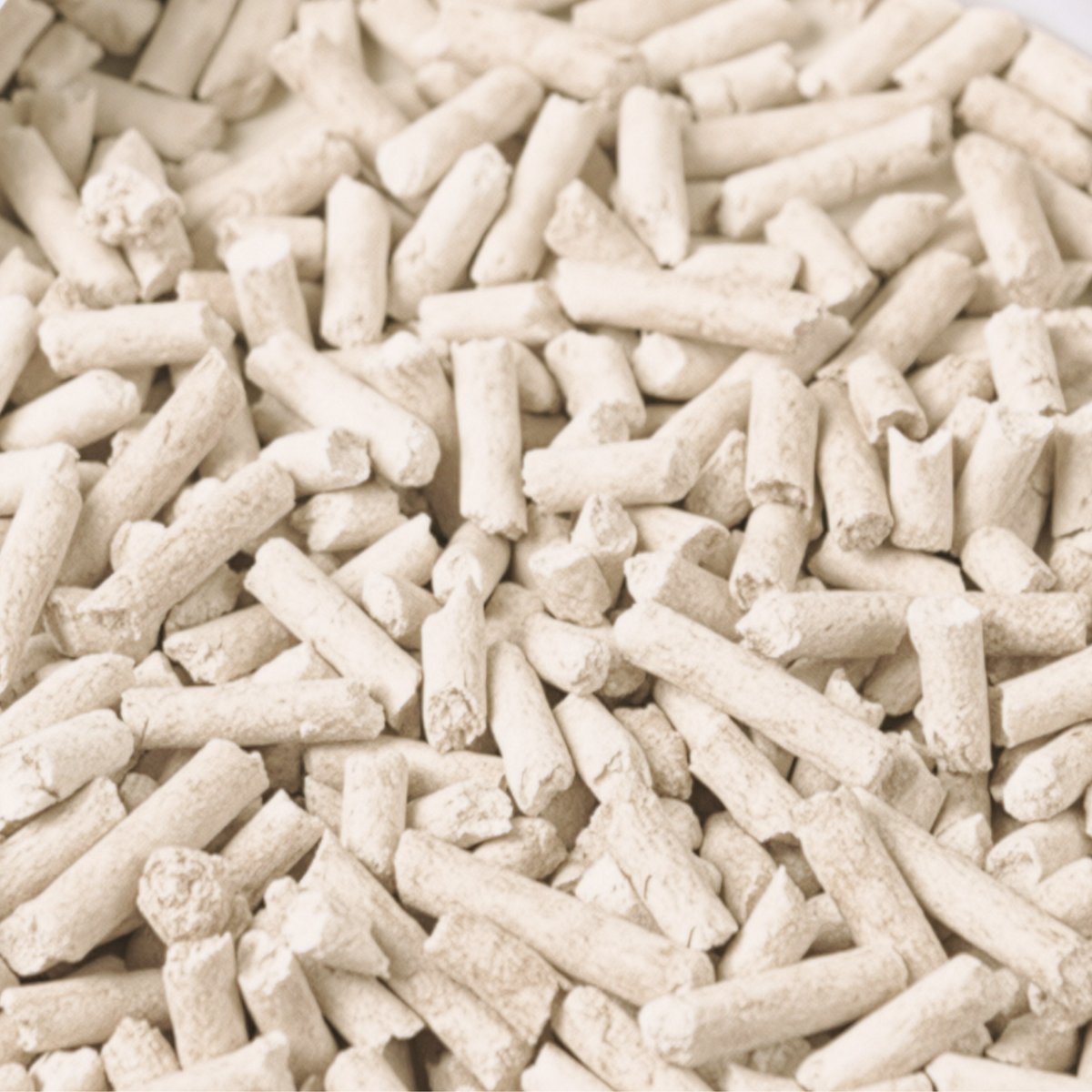 Close-up of SoyKitty plant-based litter pellets