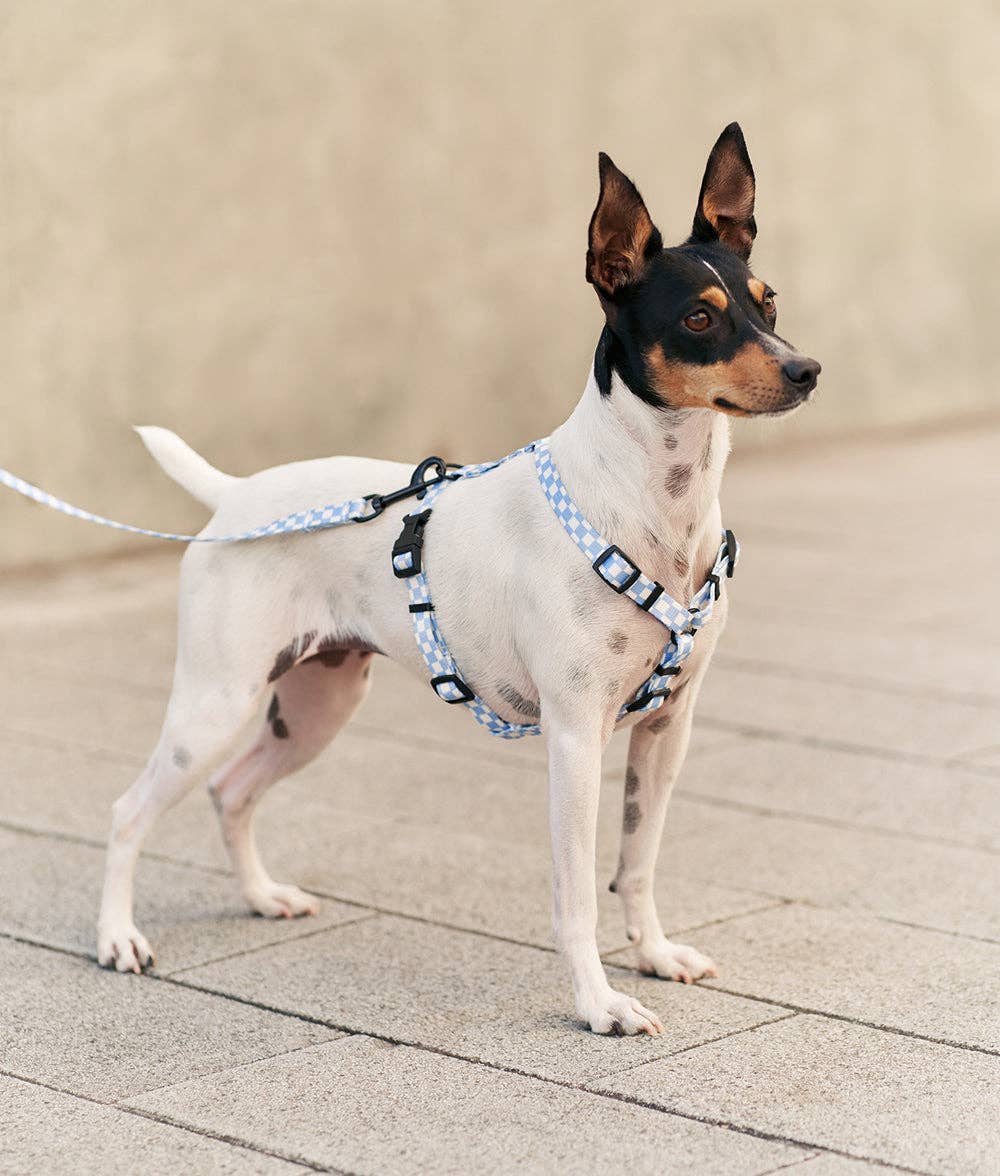 Side view of dog wearing Vichy Blue Recycled PET Dog Harness