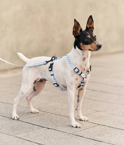 Side view of dog wearing Vichy Blue Recycled PET Dog Harness