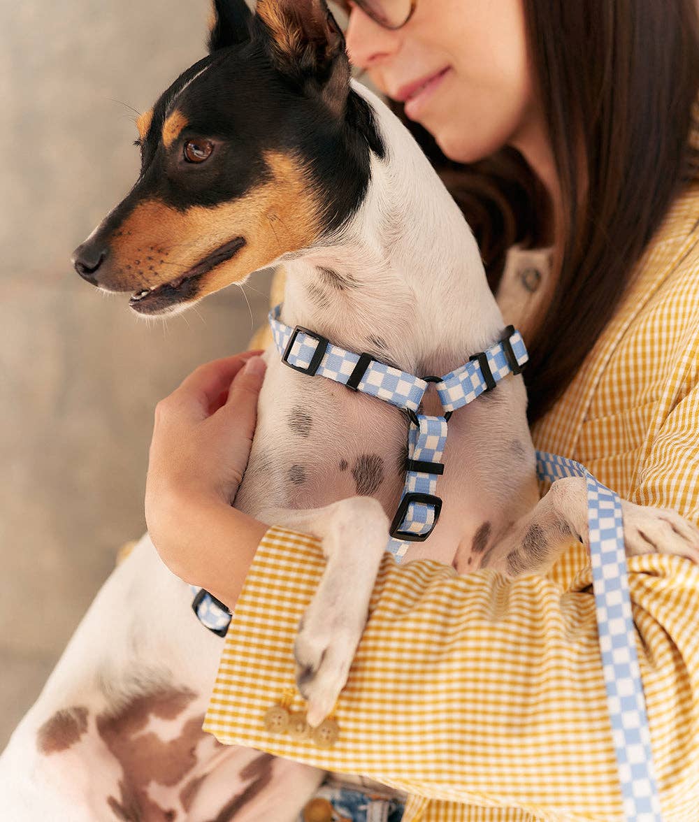 Close-up of dog wearing Vichy Blue Recycled PET Dog Harness