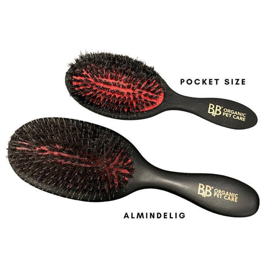Size comparison of the B&B Favorite Brush Small and Large grooming brushes