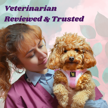 Veterinarian-reviewed EcoBark Baby Pink Reflective Step-In Dog Harness