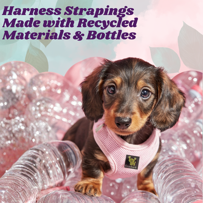 EcoBark Baby Pink dog harness made with recycled materials and durable webbing