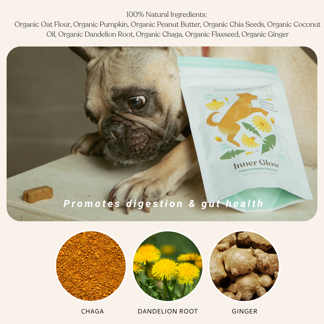 Botanical Bones Inner Glow organic dog treats with chia, dandelion root, and ginger