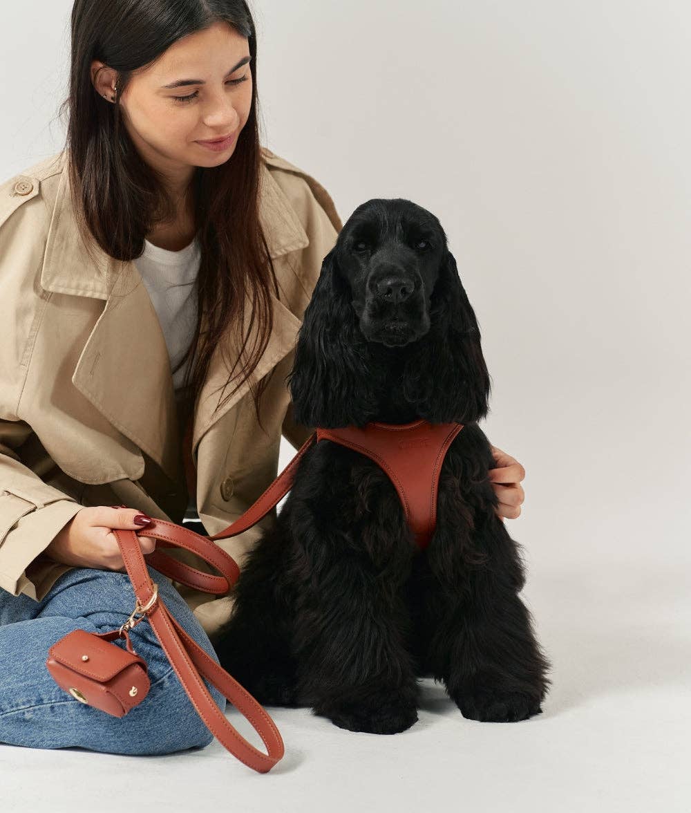 Dog wearing the brown Jala vegan leather harness beside its owner during an outdoor outing