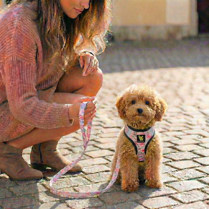 Small dog with the EcoBark Eco-Bright Pink Floral leash during an outdoor walk.