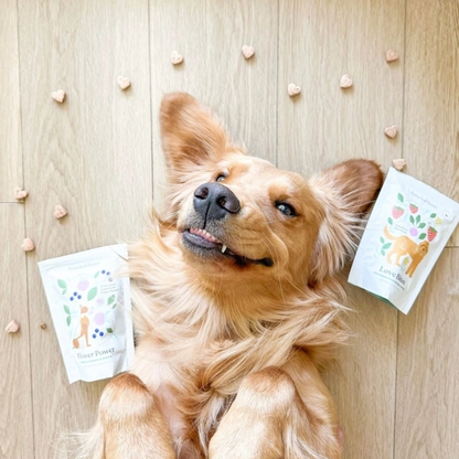 Happy dog relaxing with Love Bites organic strawberry and peanut butter treats.