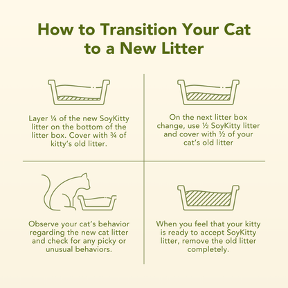 SoyKitty guide for transitioning a cat to new litter