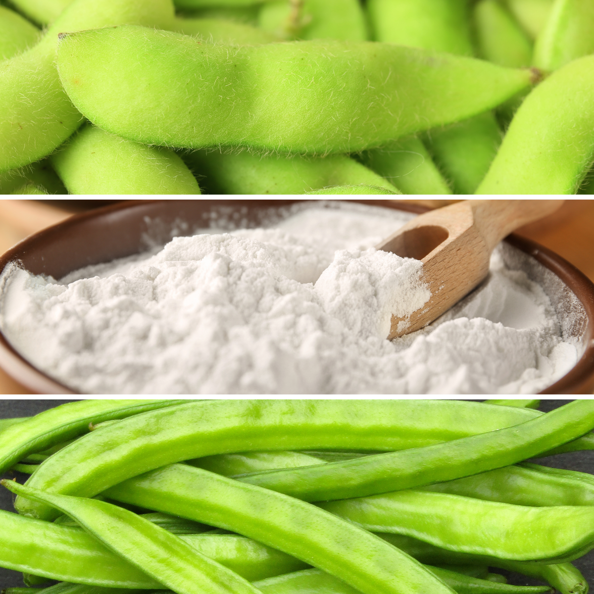 SoyKitty plant-based litter with soybean and natural plant imagery