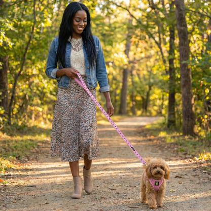 Small dog enjoying a walk wearing the EcoBark Baby Pink Reflective Step-In Dog Harness