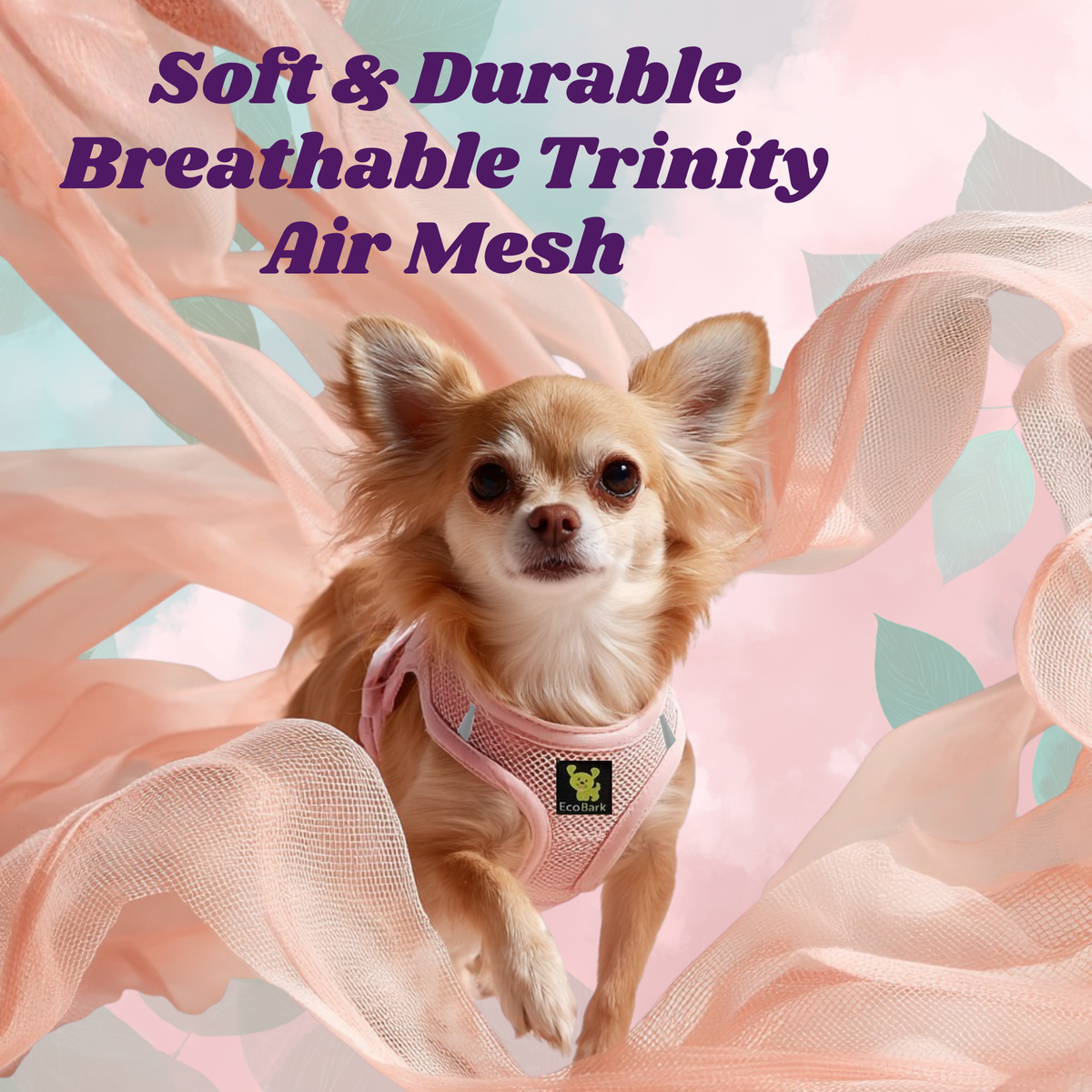 Chihuahua wearing the EcoBark Baby Pink breathable air mesh dog harness
